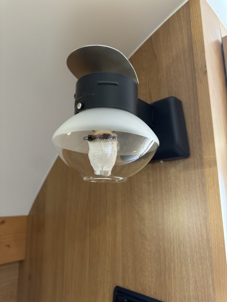 Wall-mounted propane gas light with glass globe.