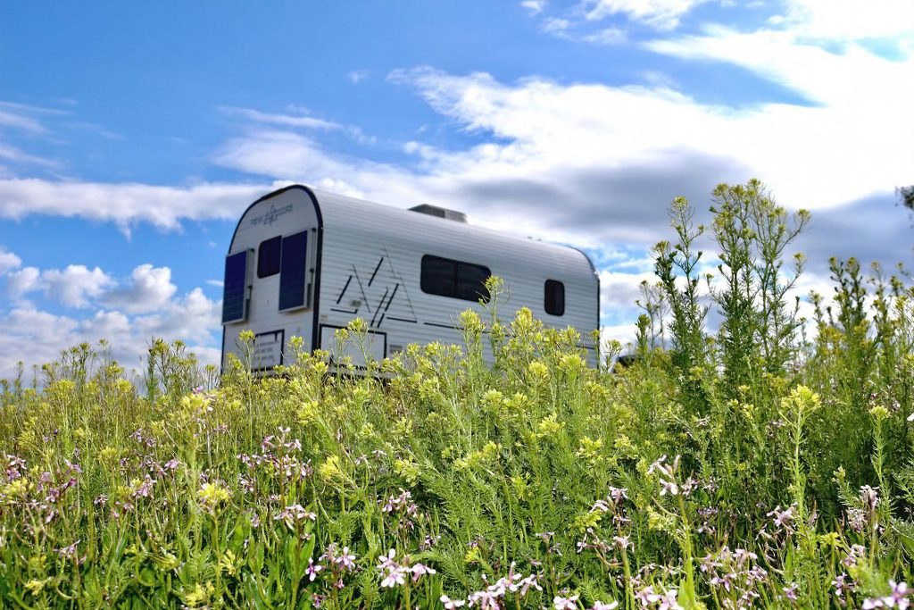 White Peak camp trailer surrounded by yellow wildflowers beneath blue mountain skies