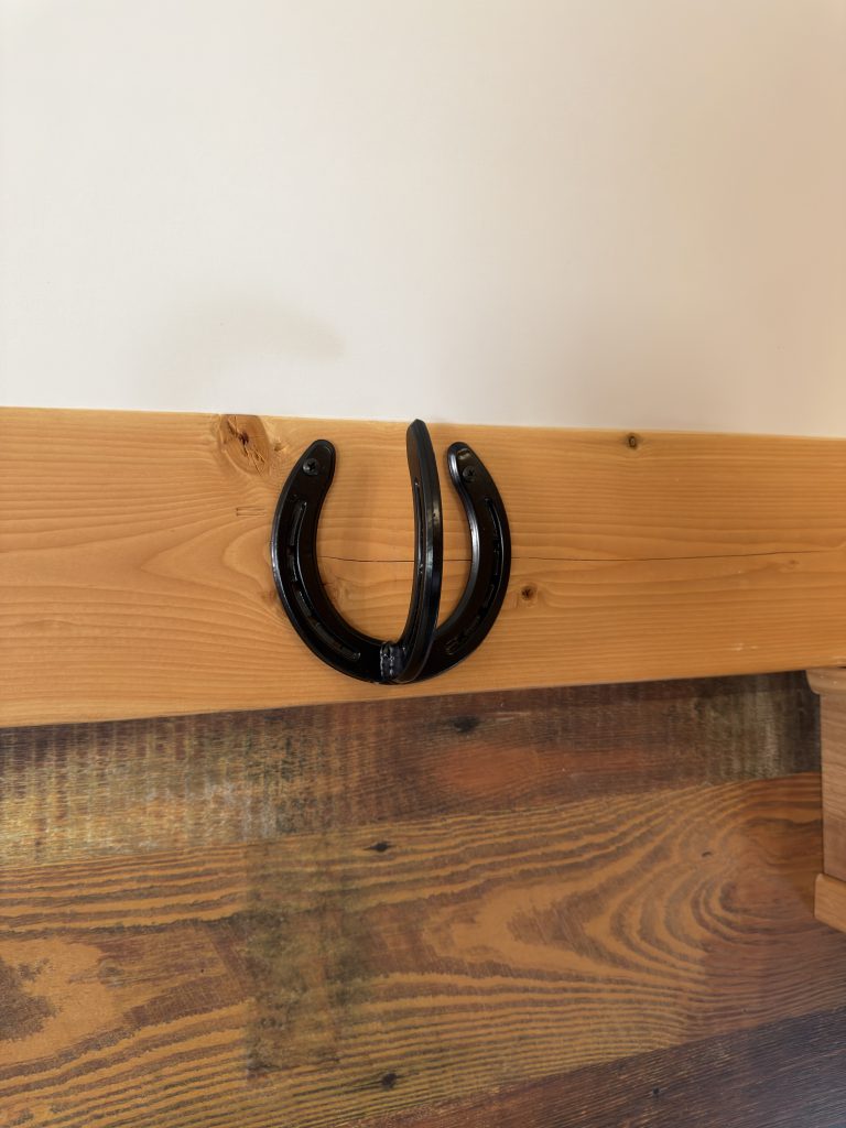 Horseshoe Wall Hooks on Nielsen Camp #133 (View 1)